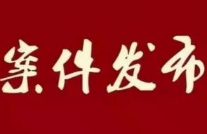 柳州市人民检察院依法对陈克佳等犯罪嫌疑人依法决定或批准逮捕