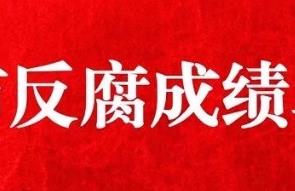 图解柳州反腐：严肃查处张彬、梁聚武、谢其托等领导干部严重违纪违法案件