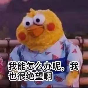 靓拐江滨公园散步突遭前任暴力自拍 他竟这样说……