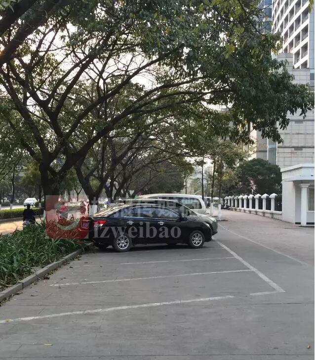 【小编揭秘】说好的“免费停车1个小时”呢？怎么还不实行？！