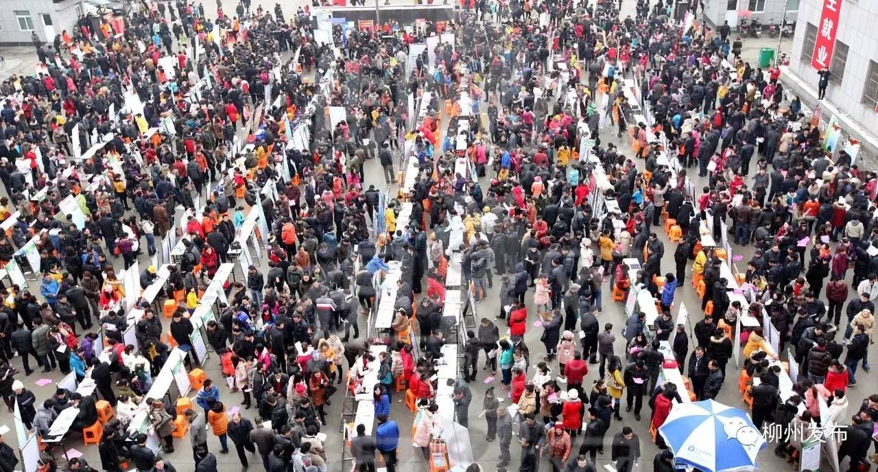 高薪！3000多个岗位等你来“挑”，快告诉有需要的人...