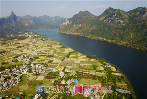 踏青只会赏花？柳州这些湿地惊艳了春天 别错过！
