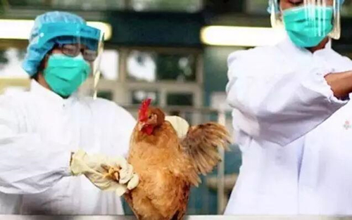 柳州市发现1例H7N9病例 正在定点医院接受救治