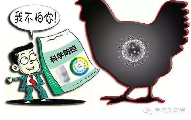 专家：H7N9可防可控可治， 这些知识你要懂