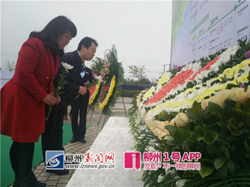 清明感恩：缅怀遗体器官捐献者  感谢他们让生命延续