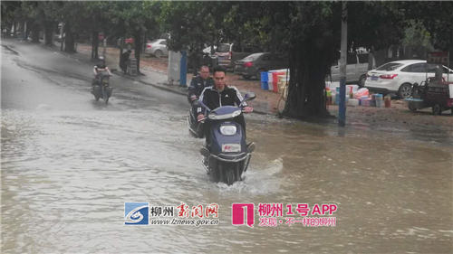 【突发】天鹅湖小区附近水管爆裂积水