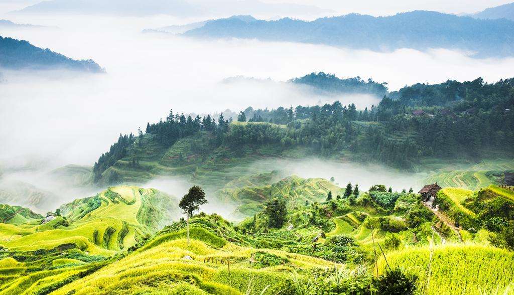 “三月三”假期上哪玩？这19家乡村旅游地邀您来玩耍！