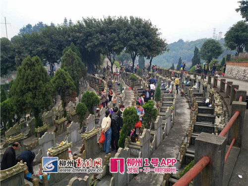 缅怀先人寄托哀思，清明祭扫西山公墓交通较顺畅