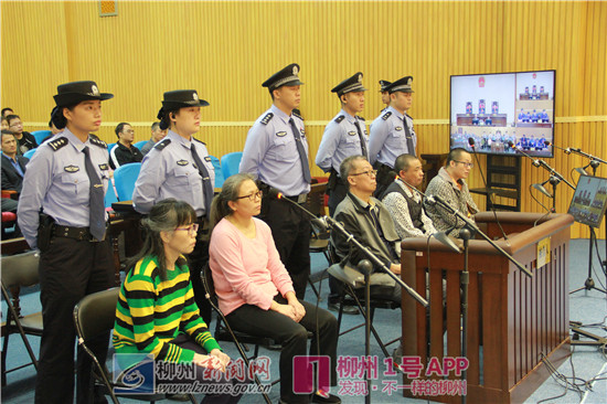 原自治区林业造纸厂厂长安明明等人涉嫌职务犯罪案宣判