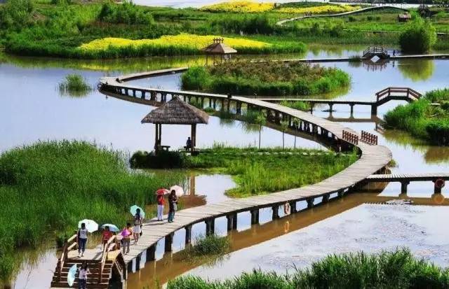 柳北将建“千亩湖”！7030亩湿地公园要美到飞起～