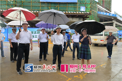 陈武肯定柳州县域经济工作    要求融安融水探出模式做出示范