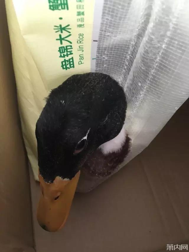 阿妹晒单位端午节福利：奇葩吗？柳州网友一看全喷了……