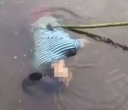 惋惜！鹧鸪江桥附近惊现女浮尸，有人曾目睹她落水！但是…