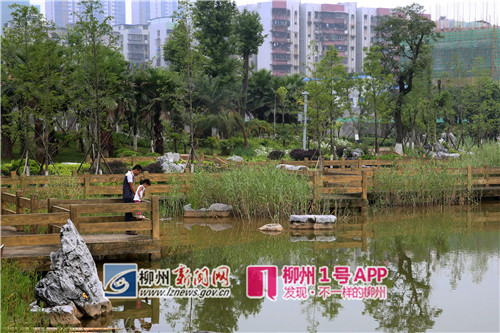 去看看！柳东文化艺术中心、体育公园、天山公园现在都建得啥样了？