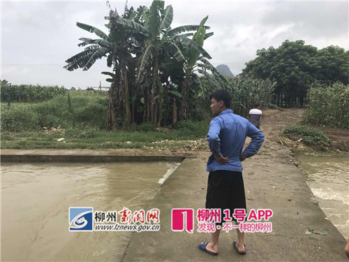 进德镇三千村一男子酒后摸黑骑电车超载掉河里，有两人至今未找到