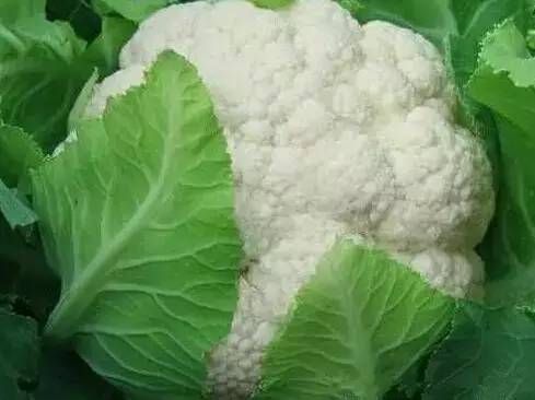 菜场小贩打死也不告诉你的买菜窍门！第2条原来还能这样！附攻略