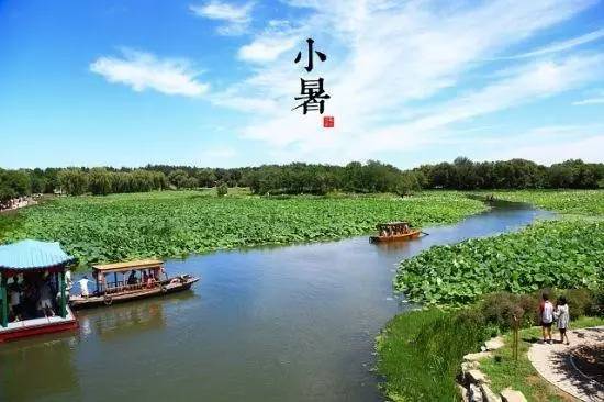 今日小暑|“桑拿天”即将来袭，你准备好了吗？