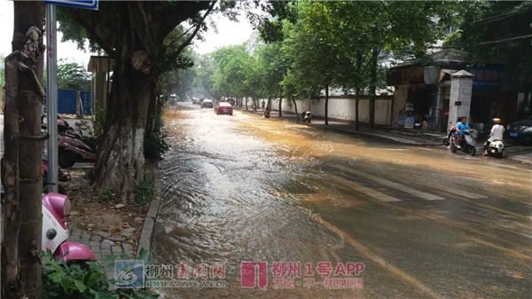 桂景湾路一小区门口供水管道发生爆裂 同时造成路面坍塌