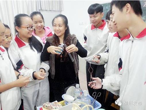 柳州中小学又要招聘教师啦！800多岗位，一定有你心动的学校