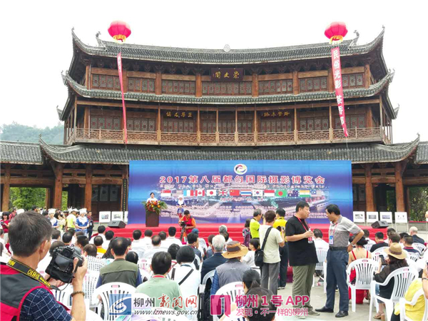 柳州紫荆花“飘”到国际影展 向世界递上靓丽的“紫荆花都”名片