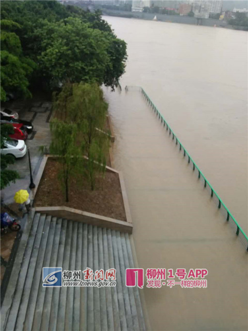 1号快报|我市升级发布洪水黄色预警 五县及市区均将出现超警戒水位