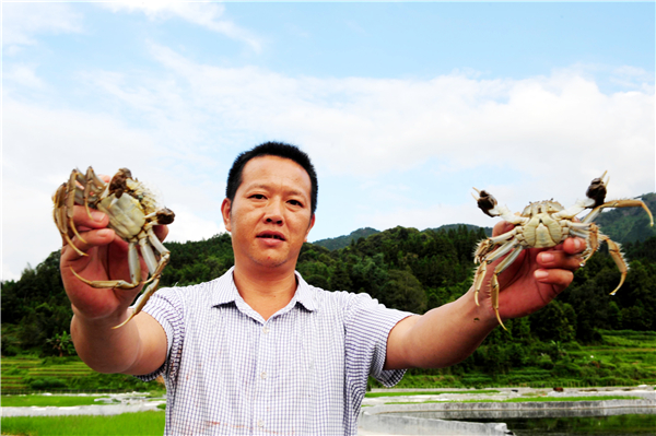 万万没想到，柳州这个地方也出大闸蟹，扶贫就靠它了！