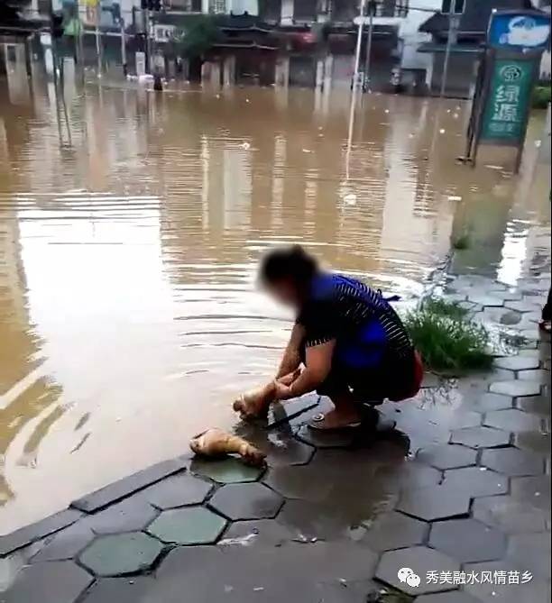 没法吃啊！融水大妈在污浊洪水里洗猪脚，还将其卖给他人
