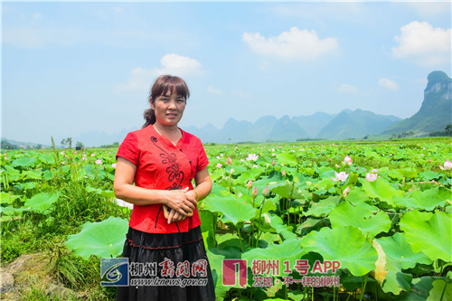 十九大代表风采—韦美芬：“帮助群众尽快脱贫是我工作的重点”
