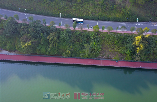 “最美公交线路”乘客爆满受追捧 之后将视情况加大发车密度