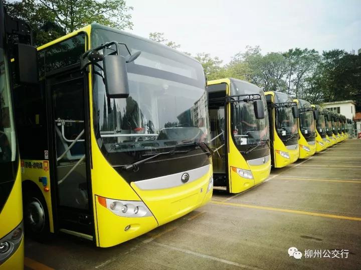 纯电动公交车开跑！31路、49路12日起投用