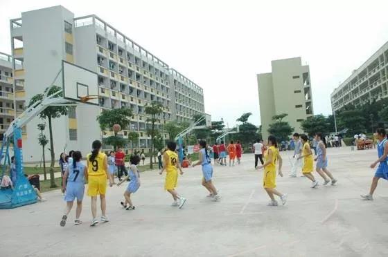 （网络图片）