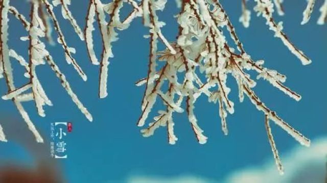 今日小雪！瑞雪为何“兆”丰年，你知道吗？