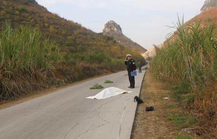 柳城六旬“赶牛人”被撞身亡，警方重酬寻找肇事逃逸者