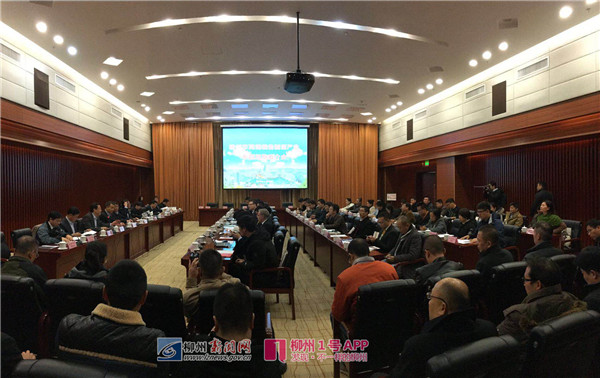 为什么布局柳州是切入东盟大市场的最佳选择？因为我们有...