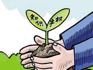 “柳州智造”获表扬，成为12个国家知识产权试点城市之一