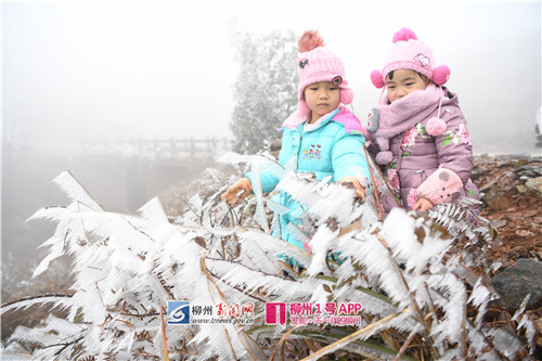 1号直播|结冰啦！三江大塘坳进入冰雪世界，记者就在现场