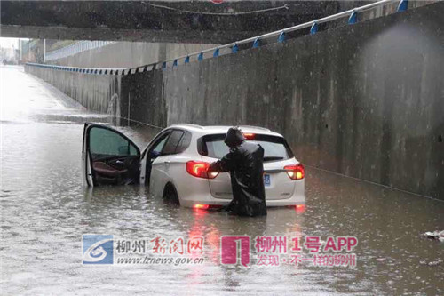 1号现场|柳州市区这些路段积水 行人司机请注意绕行