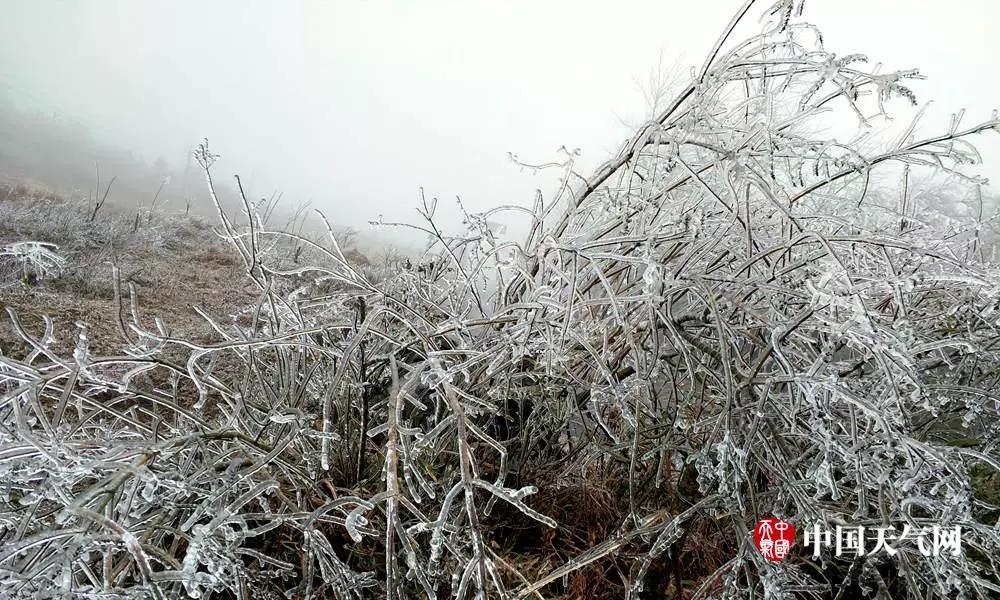 广西人顶住！强冷空气再袭广西！-4℃！雨夹雪！冻雨！多的是你想不到的天气......