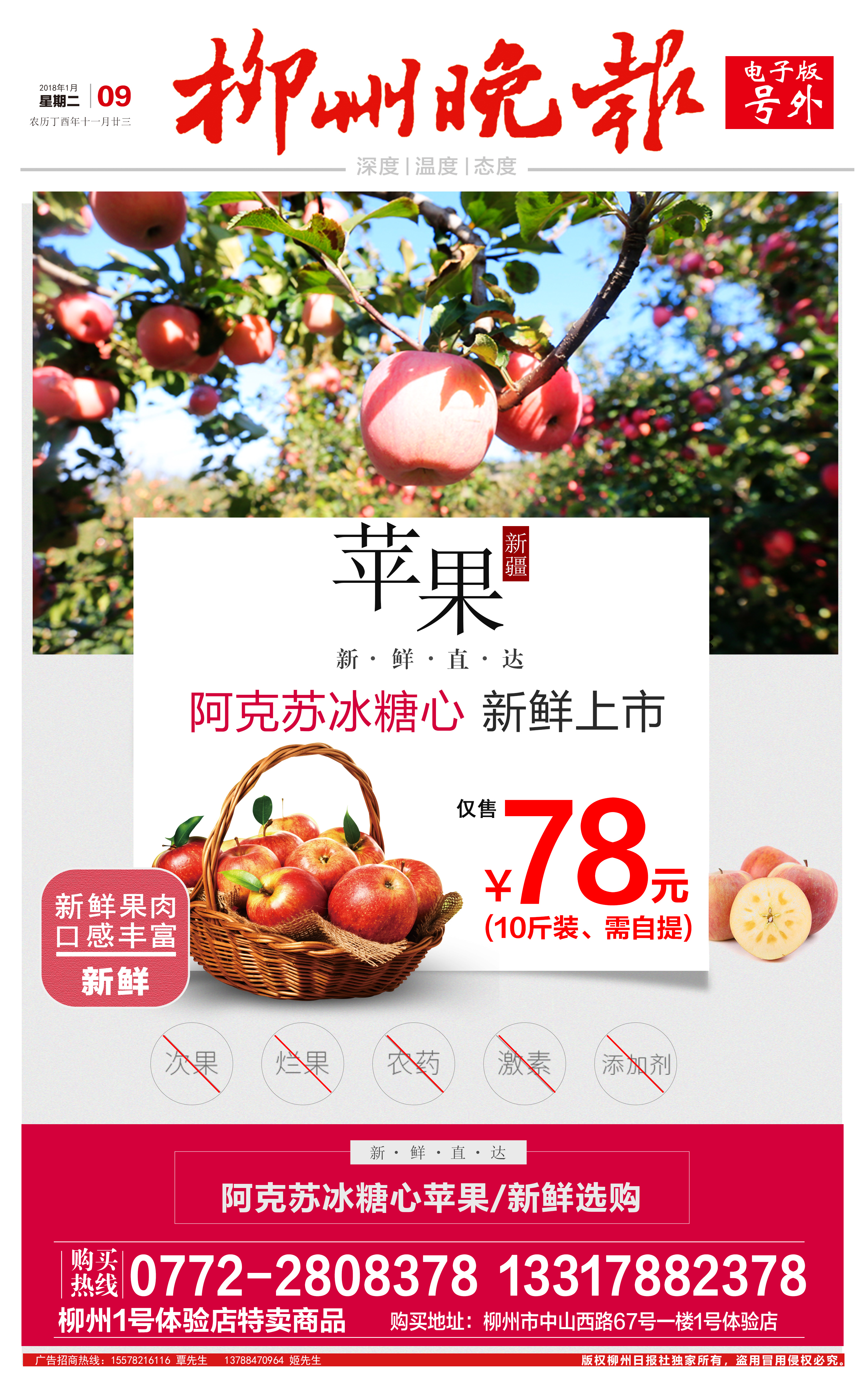 柳州晚报电子号外|阿克苏冰糖心 新鲜上市