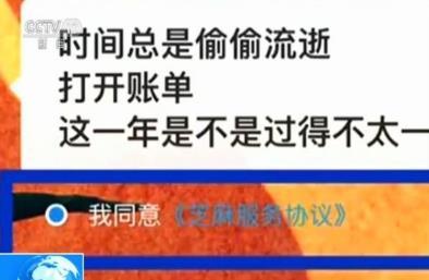 国家网信办就“支付宝年度账单事件”约谈当事企业负责人