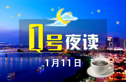 1号夜读|阳光明媚的冬天 我想和你去看花