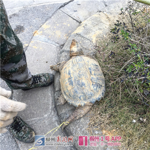 微信图片_20180122203423.jpg 微信图片_20180122203423.jpg