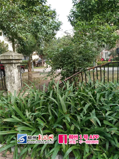 桂景湾破烂的围栏1.jpg 桂景湾破烂的围栏1.jpg