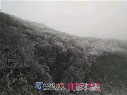 微信图片_20180126103532.jpg