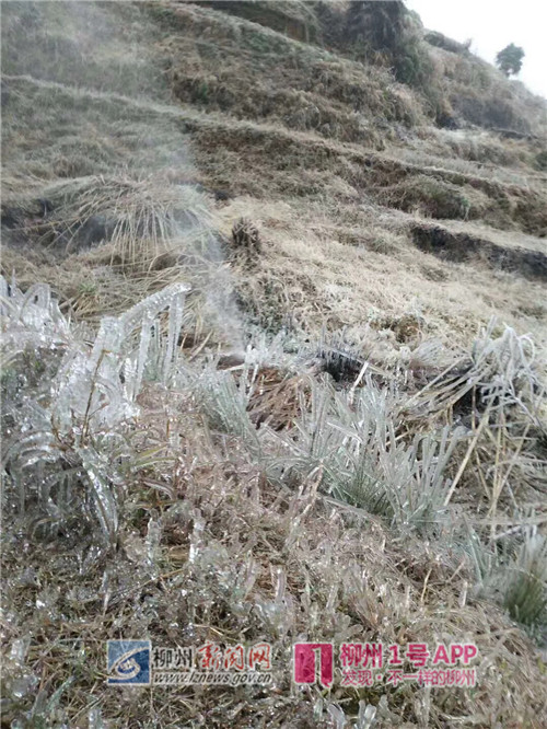 微信图片_20180126103538.jpg