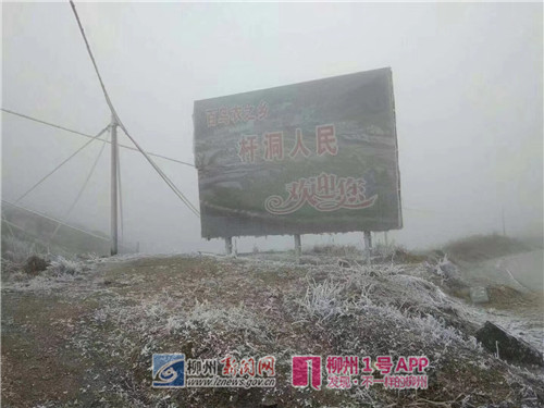 微信图片_20180126103559.jpg