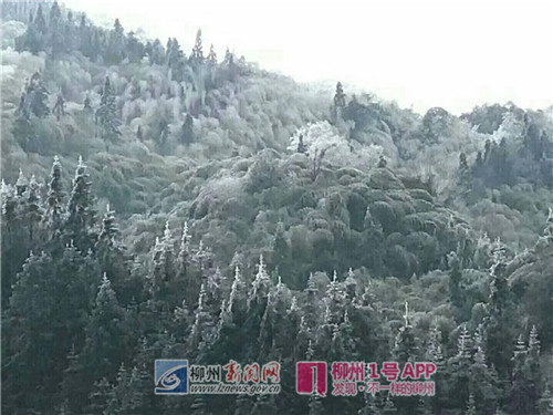 微信图片_20180126103602.jpg