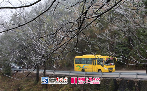微信图片_20180127200846.jpg