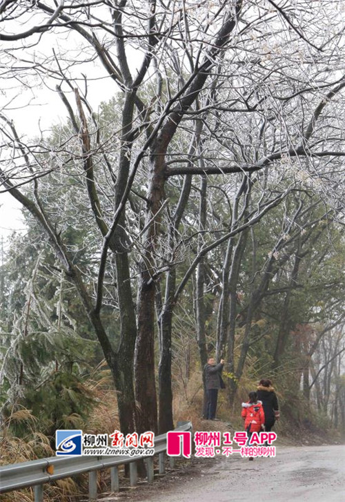 微信图片_20180127200838.jpg