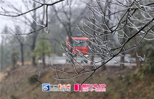 微信图片_20180127200849.jpg